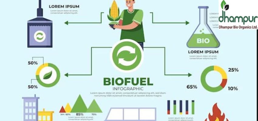 How to comprehend the importance of fuel ethanol as a renewable energy?